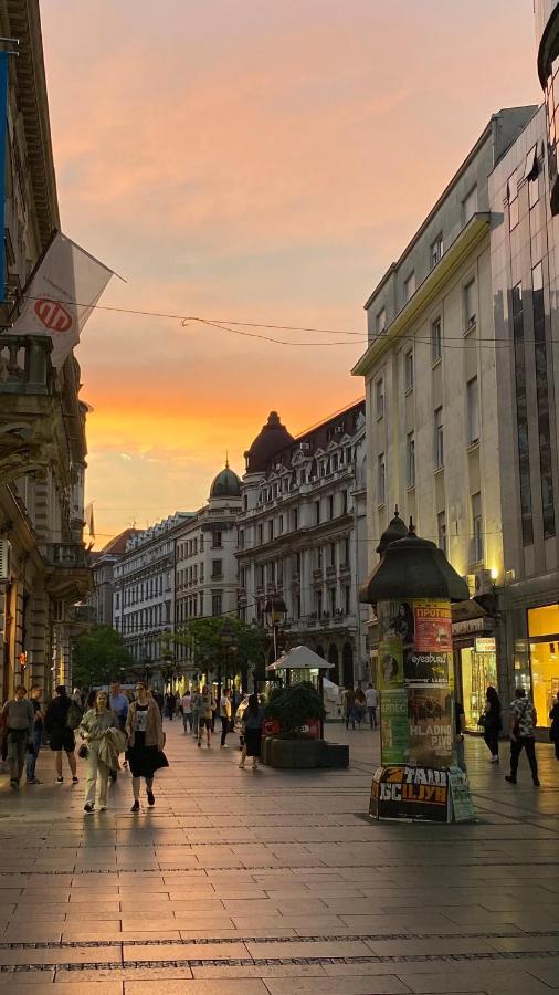 DOM Boutique Apartments - Old Town Belgrade Extérieur photo