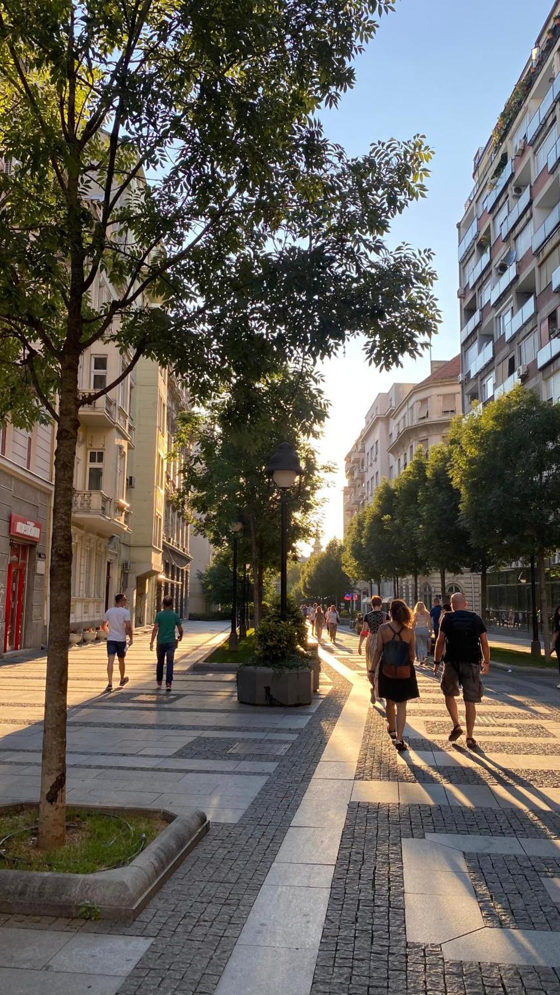 DOM Boutique Apartments - Old Town Belgrade Extérieur photo